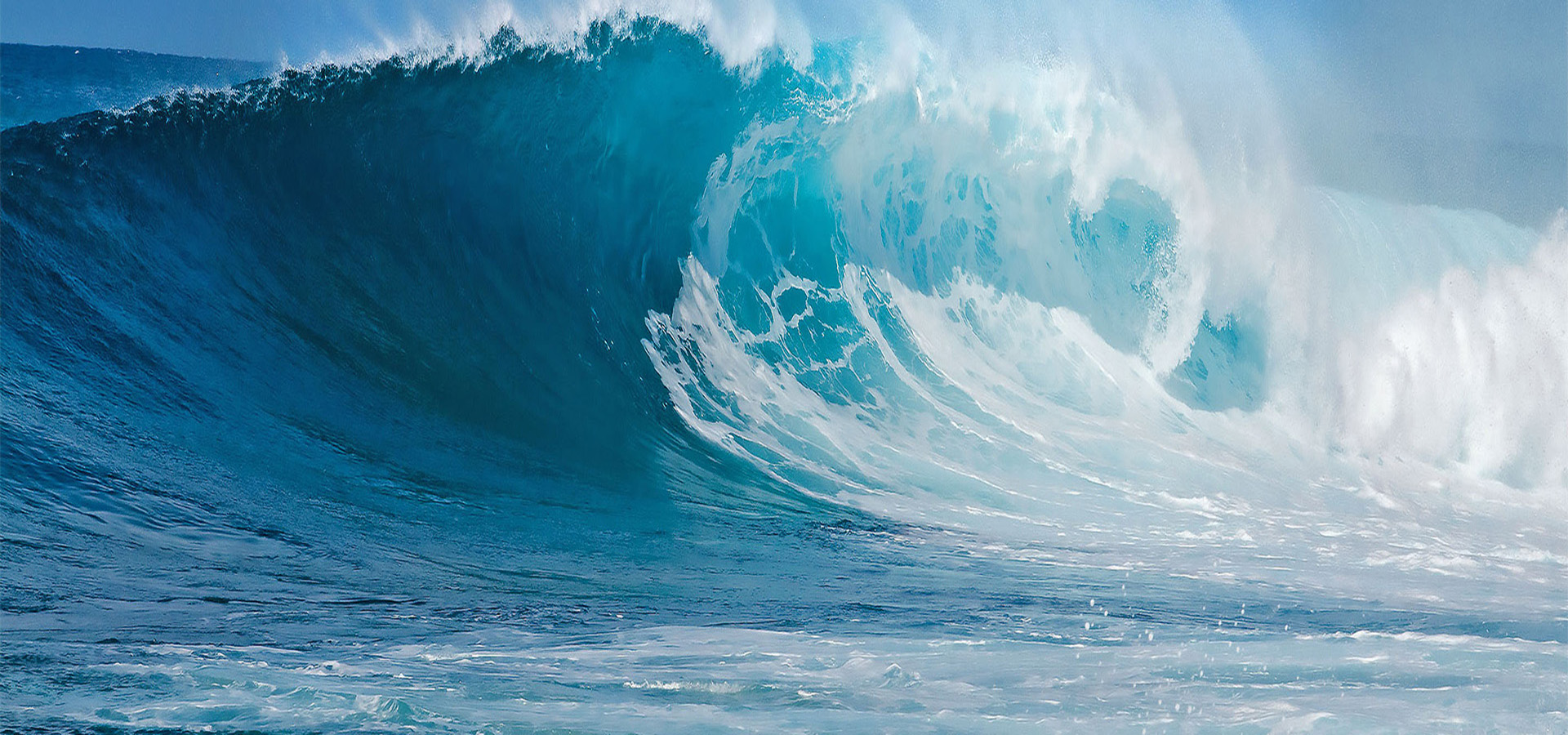 元含万象、万象大奖国际18dj18